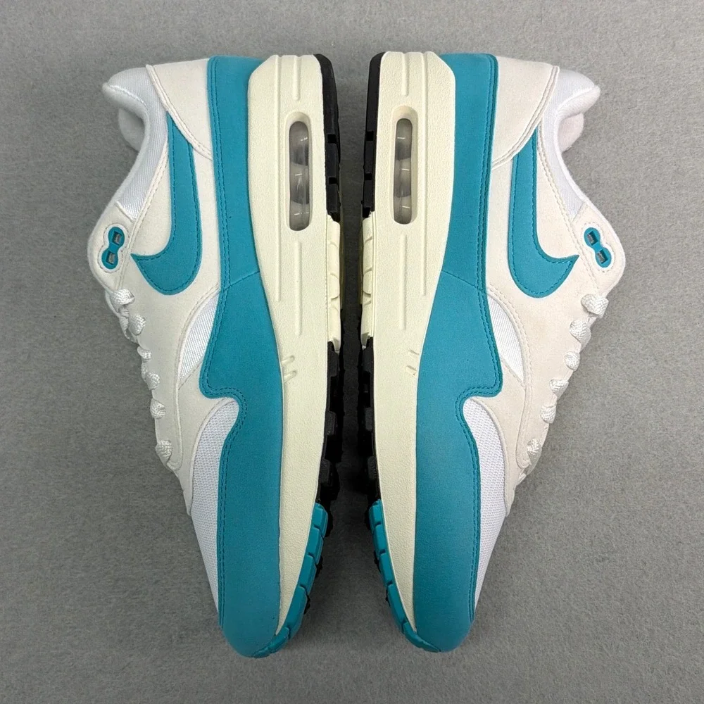 Nike Air Max 1 Dusty Cactus White Womens 11 Mens 9.5 DZ2628-107
